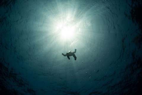 diving-underwater-sunlight-1200x800